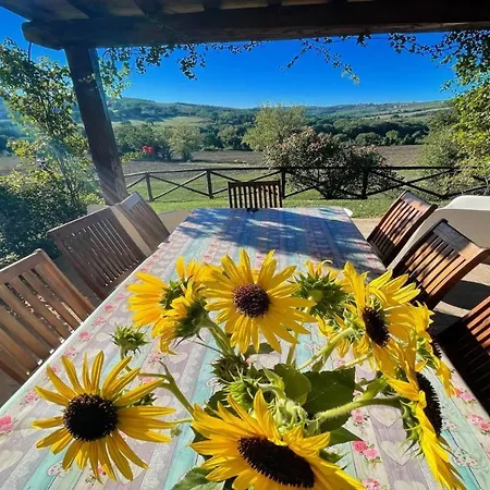 ヴィラ Fabulously Located In Luscious Grounds Play Area For Children Sleeps 10 Petroro