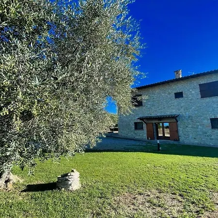 Fabulously Located In Luscious Grounds Play Area For Children Sleeps 10 Petroro
