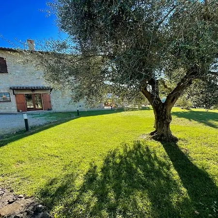 Fabulously Located In Luscious Grounds Play Area For Children Sleeps 10